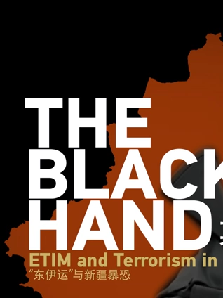 幕后黑手—东伊运与新疆反恐